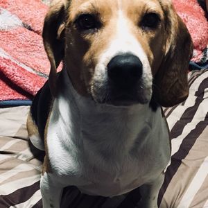 Meet your Posher, Edwin